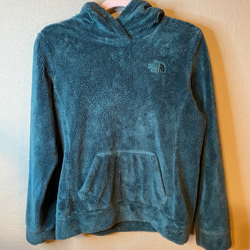North face Fleece Hoodie